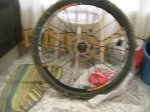 DSCN6231.jpg