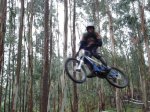MAXXIS 08 -33 (Large).jpg