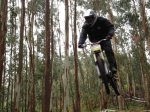 MAXXIS 08 -35 (Large).jpg