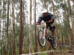 MAXXIS 08 -36 (Large).jpg