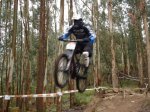 MAXXIS 08 -46 (Large).jpg