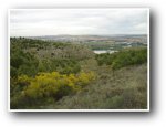 DSC05556_resize.jpg