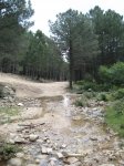 Foto 102.JPG