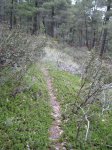 Foto 110.JPG