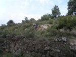 P6150082 (Medium).JPG