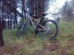 04062008041.jpg