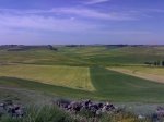 Paisaje chico 2.JPG