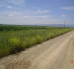DSC01281.JPG
