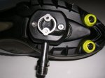 frog-04.jpg