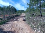 Imagen019.jpg