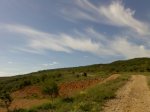 Imagen020.jpg