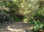 DSC01595.jpg