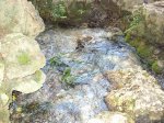 DSC01602.jpg