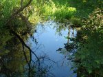 DSC01596.jpg
