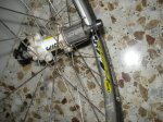 DSC07215.JPG