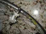 DSC07216.JPG