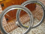 DSC07214.JPG