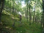 Foto1.JPG
