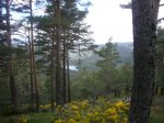 Foto38.JPG