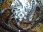 DSC01391.jpg