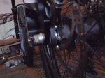 DSC01404.jpg