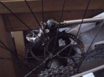 DSC01406.jpg
