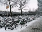 Amsterdam-Bike.jpg