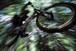 bike_downhill.jpg