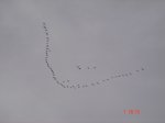 DSC05476.JPG
