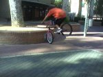 Foto0111.jpg