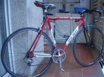 bici2008 001.jpg