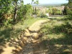 DSC00553.jpg