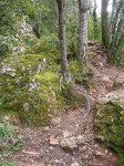 DSCN7513.JPG