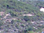 Imagen035.jpg