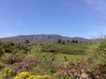 Imagen037.jpg