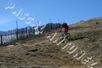 IMG_2138.jpg