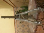DSCN3895.jpg