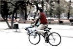 amorbici2.jpg