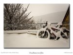 amorbici3.jpg