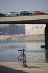 amorbici11.jpg