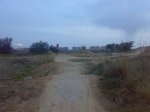 14032008070.jpg