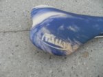 DSCF0348.jpg