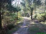DSC00527.jpg