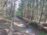 DSC00528.jpg