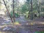 DSC00530.jpg