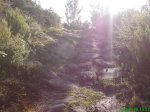 DSC00532.jpg