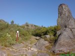 DSC00534.jpg