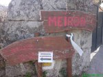 DSC00535.jpg