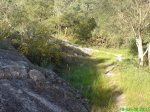 DSC00538.jpg