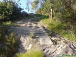 DSC00539.jpg